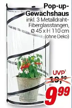 CENTERSHOP Pop-up Gewächshaus Angebot
