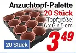 CENTERSHOP Anzuchtopf-Palette Angebot
