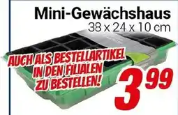 CENTERSHOP Mini-Gewächshaus Angebot