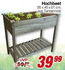 CENTERSHOP Hochbeet Angebot