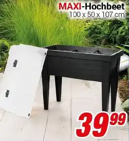 CENTERSHOP MAXI-Hochbeet Angebot