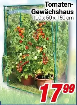 CENTERSHOP Tomaten Gewächshaus Angebot