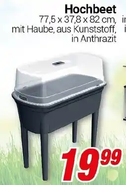 CENTERSHOP Hochbeet Angebot