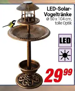 CENTERSHOP LED-Solar Vogeltränke Angebot