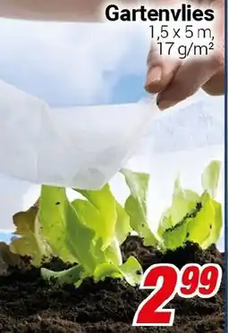 CENTERSHOP Gartenvlies Angebot