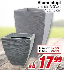 CENTERSHOP Blumentopf Angebot