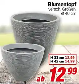 CENTERSHOP Blumentopf Angebot