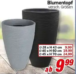 CENTERSHOP Blumentopf Angebot