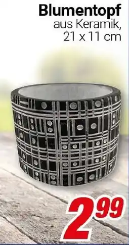 CENTERSHOP Blumentopf Angebot