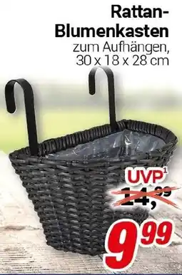 CENTERSHOP Rattan Blumenkasten Angebot