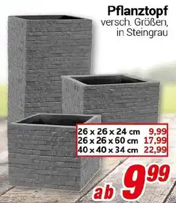 CENTERSHOP Pflanztopf Angebot