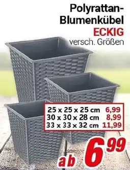 CENTERSHOP Polyrattan Blumenkübel Angebot