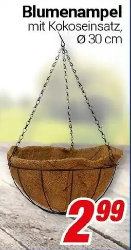 CENTERSHOP Blumenampel Angebot