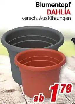 CENTERSHOP Blumentopf DAHLIA Angebot