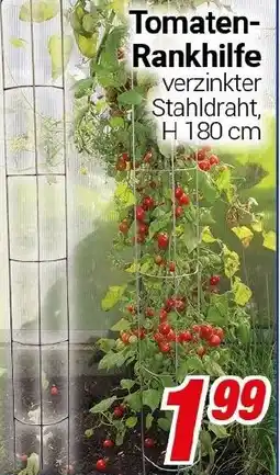CENTERSHOP Tomaten Rankhilfe Angebot