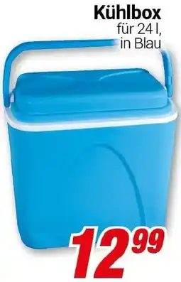CENTERSHOP Kühlbox Angebot