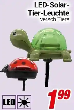 CENTERSHOP LED-Solar Tier-Leuchte Angebot