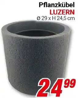 CENTERSHOP Pflanzkübel LUZERN Angebot