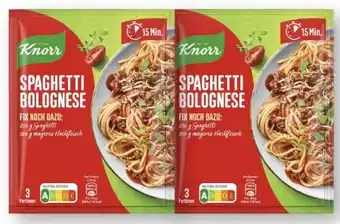 Scheck-in-Center Knorr Fix Angebot