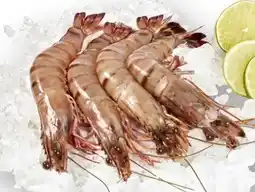 Scheck-in-Center Garnelen Angebot