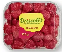 Scheck-in-Center Driscoll's Himbeeren Angebot