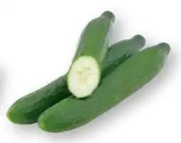 Scheck-in-Center Gurken Angebot