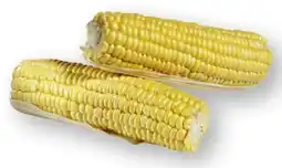 Scheck-in-Center Vorgegarter Zuckermais Angebot