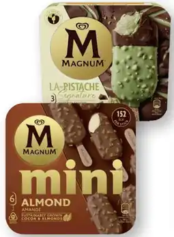 Scheck-in-Center Langnese Magnum Eis Angebot