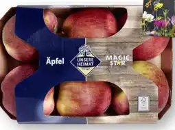Scheck-in-Center Unsere Heimat Äpfel Magic Star Angebot