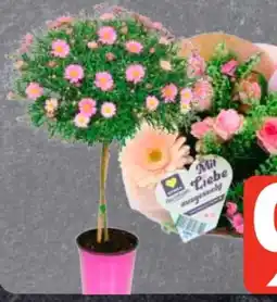 Edeka Floristensträuße Angebot