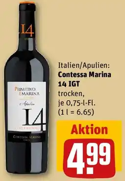 REWE Contessa Marina 14 IGT Angebot