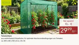 Pflanzen Kölle Kölle tomatenhaus Angebot