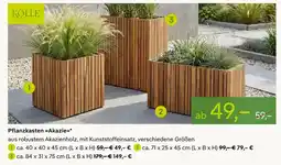Pflanzen Kölle Kölle pflanzkasten akazie Angebot