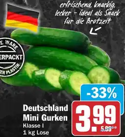 HIT Deutschland Mini Gurken Angebot