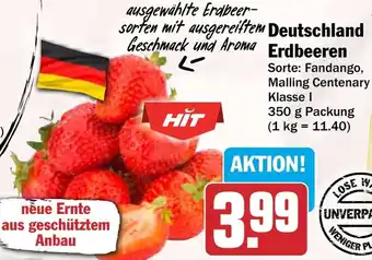 HIT Deutschland Erdbeeren Angebot