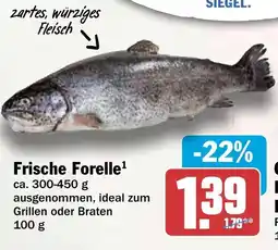 HIT Frische Forelle Angebot