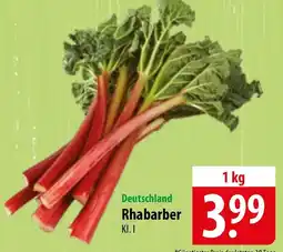 Famila Nord Ost Rhabarber Angebot