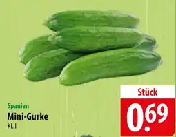 Famila Nord Ost Mini-Gurke Angebot