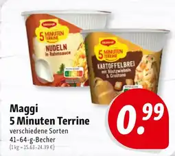 Nah & Frisch Maggi 5 Minuten Terrine Angebot