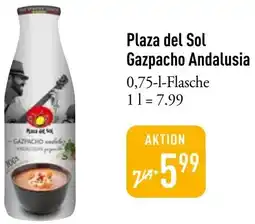 Galeria Markthalle Plaza del Sol Gazpacho Andalusia Angebot