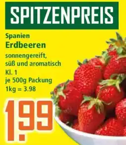 Klaas und Kock Spanien Erdbeeren Angebot