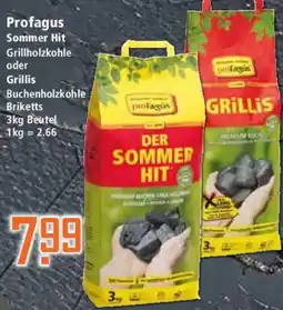 Klaas und Kock Profagus Sommer Hit Angebot