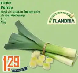 Klaas und Kock FLANDRIA Belgien Porree Angebot
