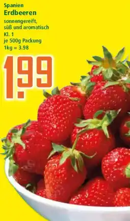 Klaas und Kock Spanien Erdbeeren Angebot