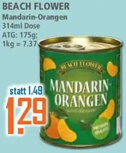 Klaas und Kock BEACH FLOWER Mandarin-Orangen Angebot