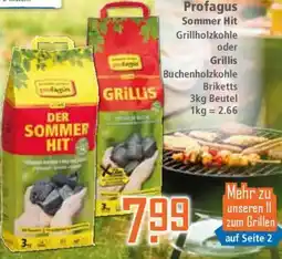 Klaas und Kock Profagus Sommer Hit Grillholzkohle oder Grillis Angebot