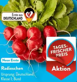 Aldi Süd Radieschen Angebot