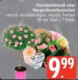 Edeka Floristenstrauß oder Margeritenstämmchen Angebot