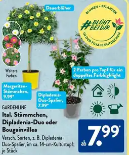 Aldi Süd GARDENLINE Ital. Stämmchen, Dipladenia-Duo oder Bougainvillea Angebot