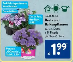 Aldi Süd GARDENLINE Beet und Balkonpflanzen Angebot